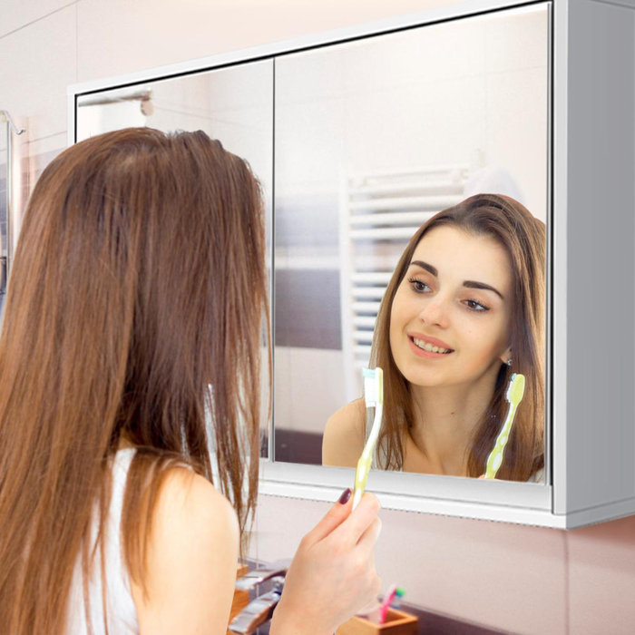 Ebern Designs Mortlake 22'' W 18'' H Surface Mount Framed Medicine